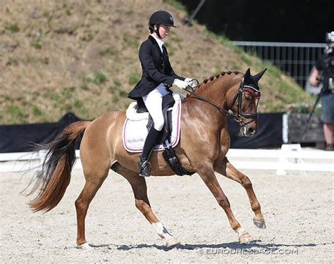 eurodressage|eurodressage news.